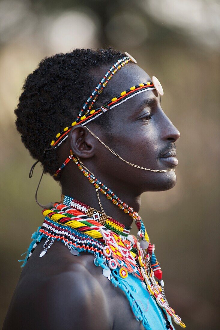 African Collection